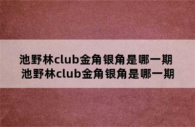 池野林club金角银角是哪一期 池野林club金角银角是哪一期